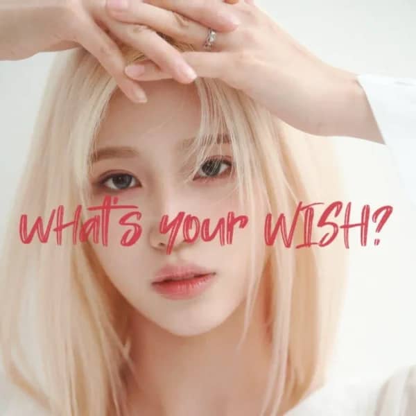 What's Your Wish? STUDIO • 2024