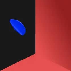 THE INFORMATION