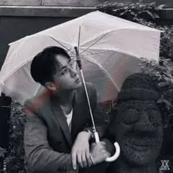 RAIN DROP