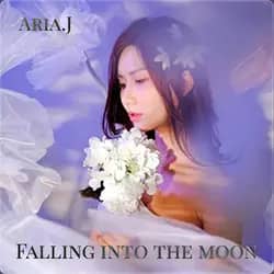 Falling into the Moon