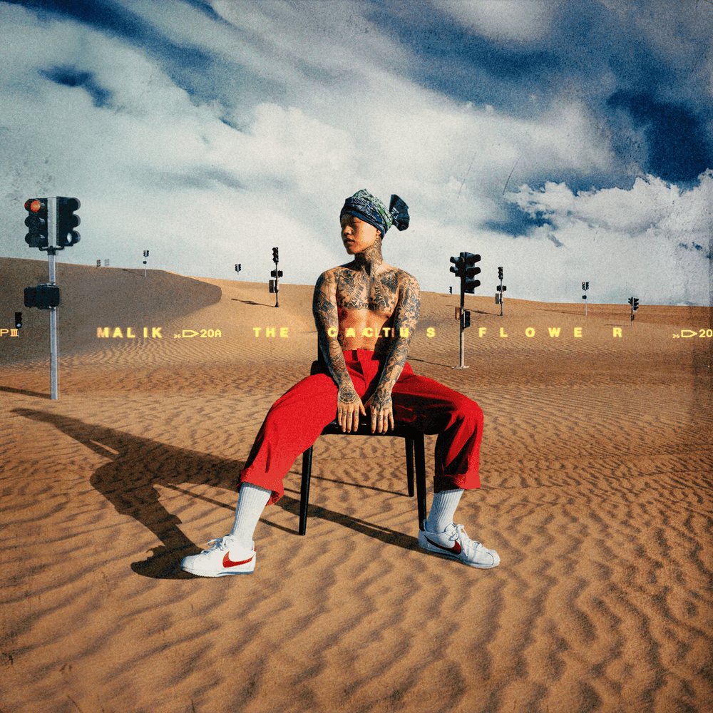 MALIK THE CACTUS FLOWER STUDIO • 2020