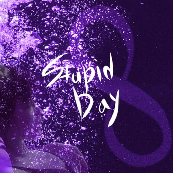Stupid Day