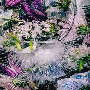 We're Dying Remix Pack STUDIO • 2020