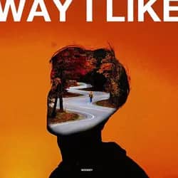 Way I Like