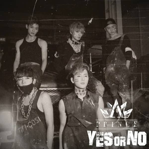 YES or NO
