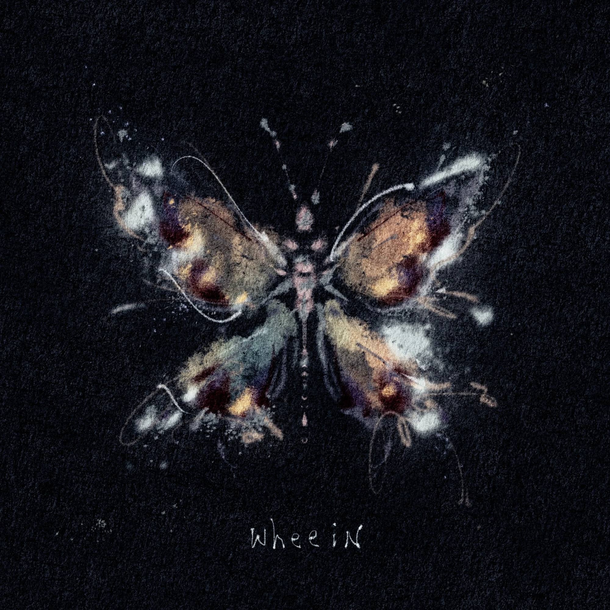 BUTTERFLY