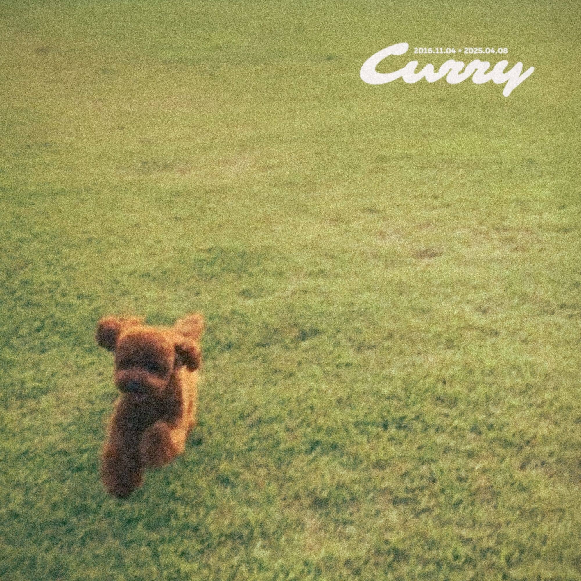 Curry